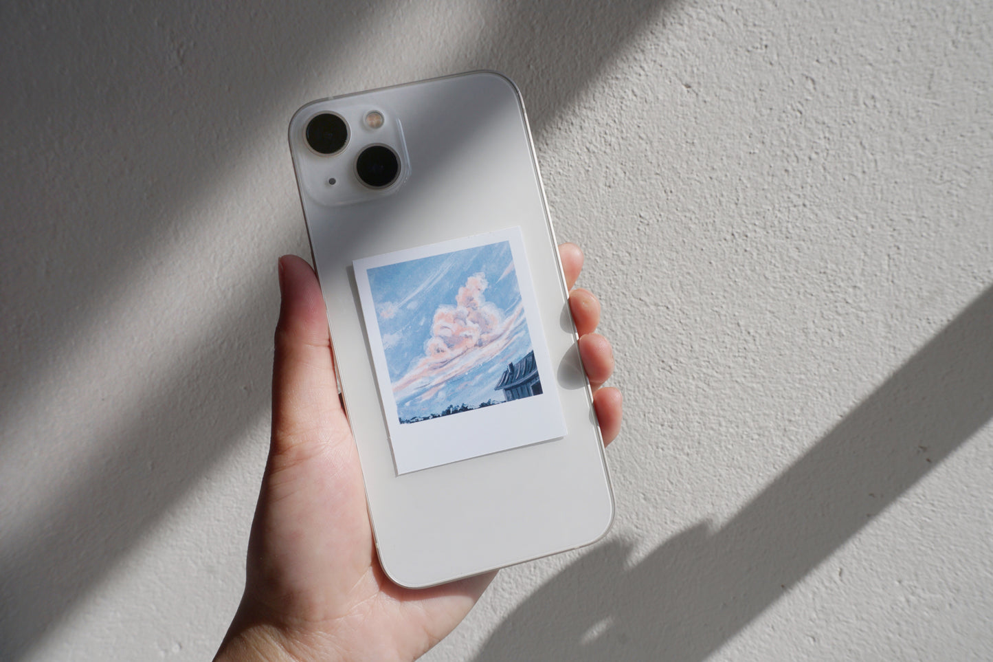 Polaroid paintings