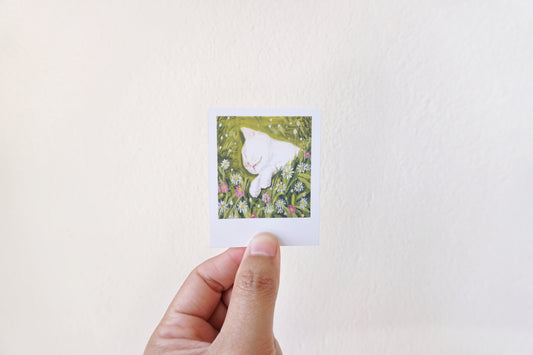 Sleepy cat polaroid