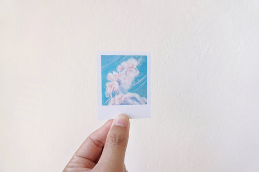Sky polaroid